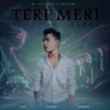 About Teri Meri Story Song